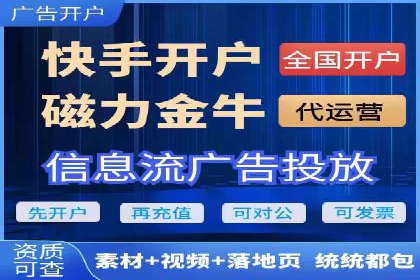 某品牌SEM推广代运营的实践与效果评估